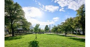 Het Nederlandsch Sportpark (Het Oude Stadion)<br />Stadionplein Huidig exterieur